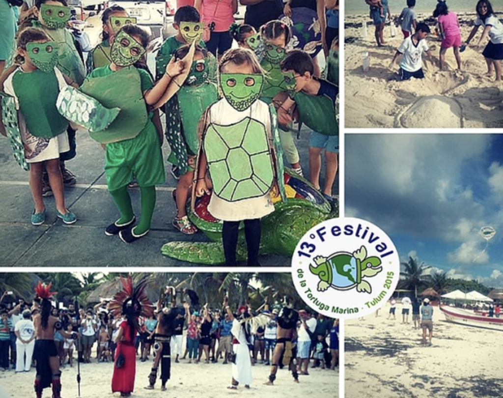 13th Annual Turtle Festival